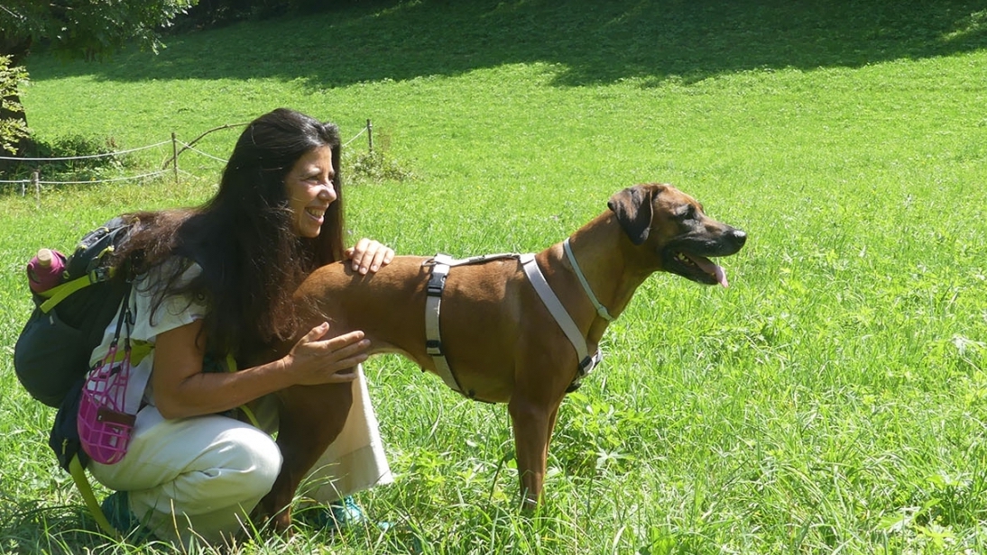 Emanuela Madia Veterinaria Olistica Sciamanica Medicina Immaginale