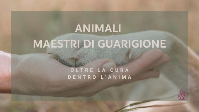 Workshop animali maestri di guarigione medicina veterinaria sciamanica