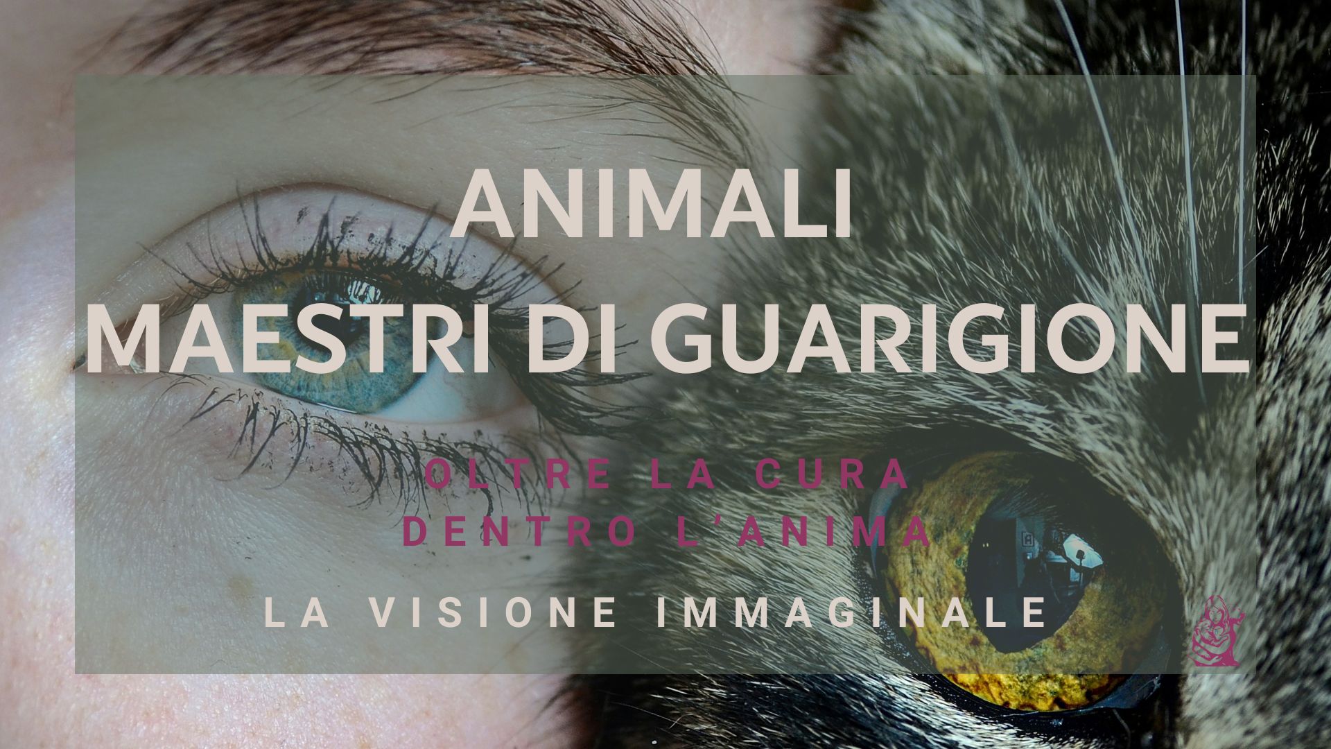 Workshop animali maestri di guarigione medicina veterinaria sciamanica