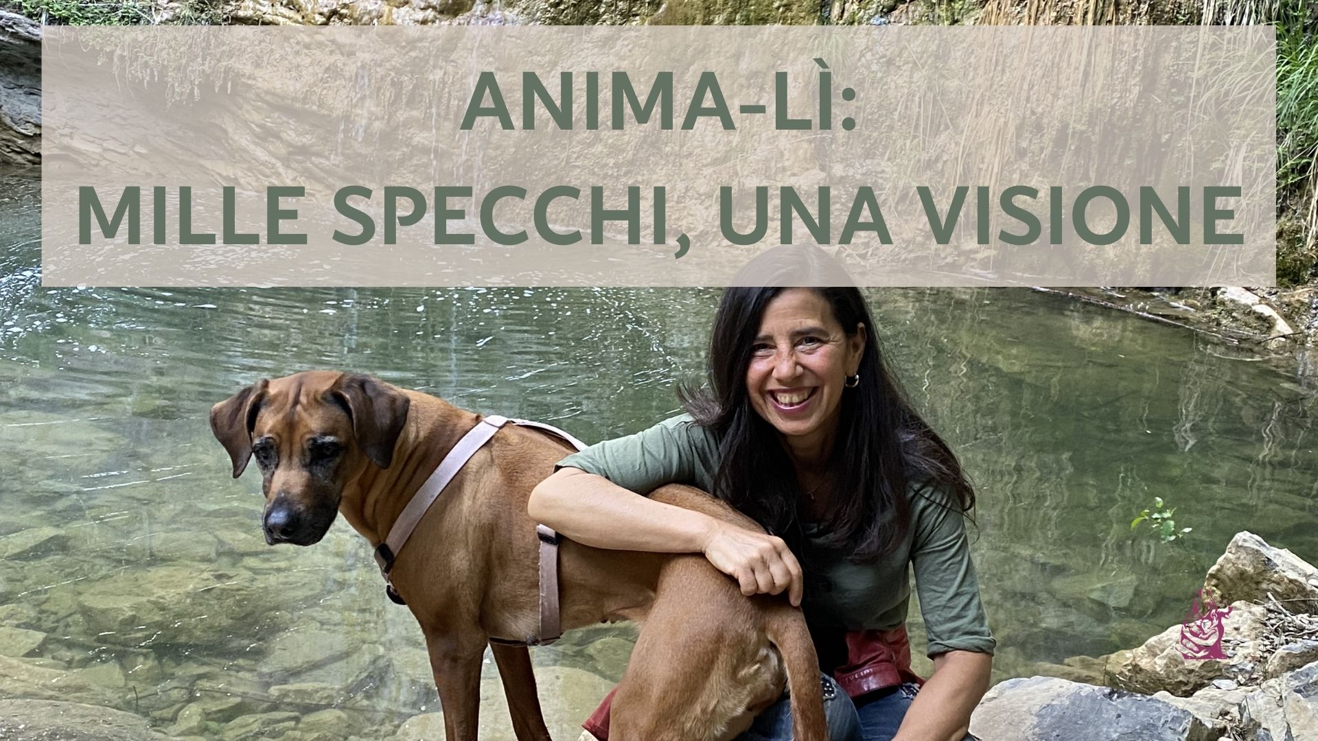 Workshop animali maestri di guarigione medicina veterinaria sciamanica